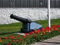 Mackinaw Island Area May 2008 0784